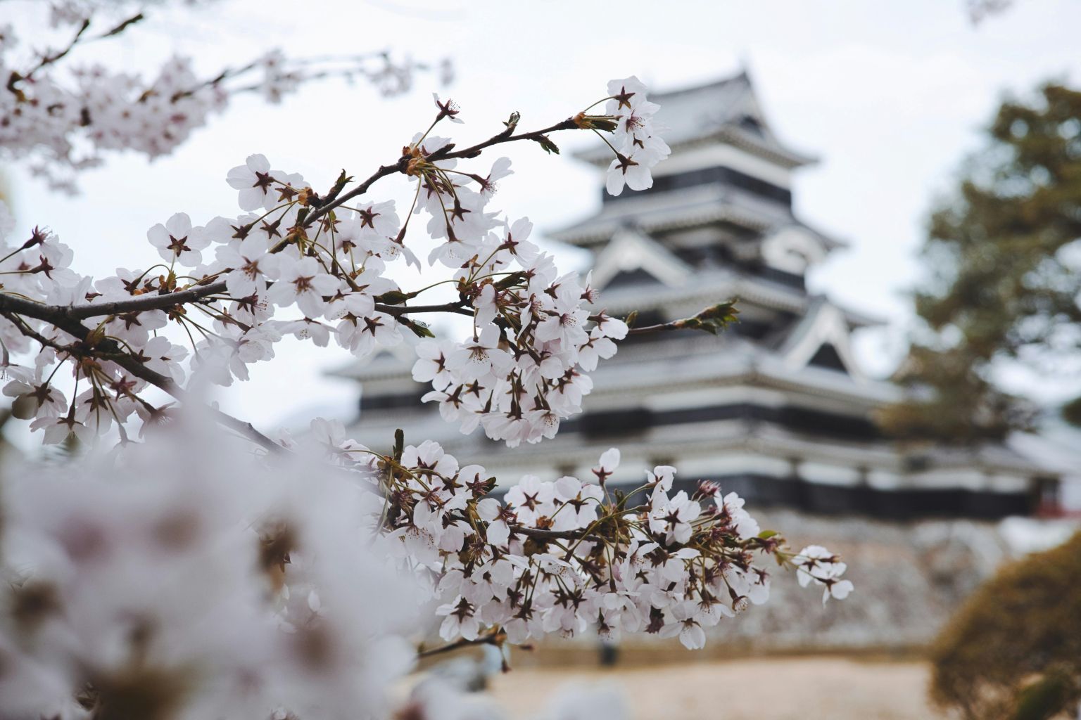 abstract Japanese background